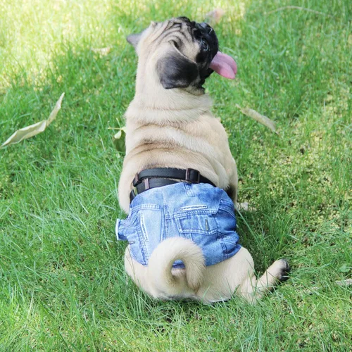 Miniatura 7 de Pañales para perro macho Wegreeco, lavables (paquete de 2), envoltorio para vientre lavable para perro macho, multicolor/fantasía (JEANS)