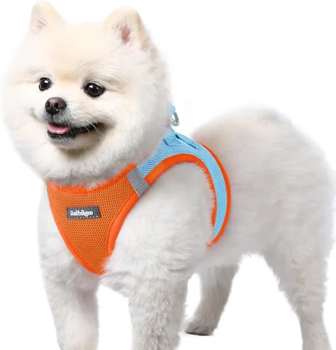 Miniatura 63 de rabbitgoo Arnés para perro pequeño, chaleco de malla suave para cachorros con hebilla de seguridad, arnés reflectante transpirable para mascotas