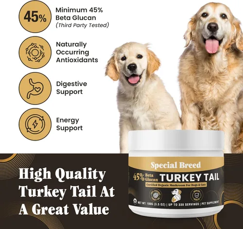 Miniatura 2 de Hongo orgánico de cola de pavo para perros y gatos, 45% beta glucano estandarizado, cuerpo fructífero extraído de agua caliente, probado por