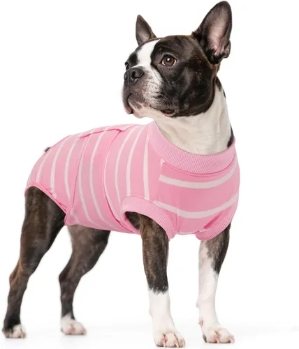Miniatura 43 de Kuoser - Traje de recuperación para cirugía de perro, traje de recuperación suave y transpirable para perros, para esterilización femenina