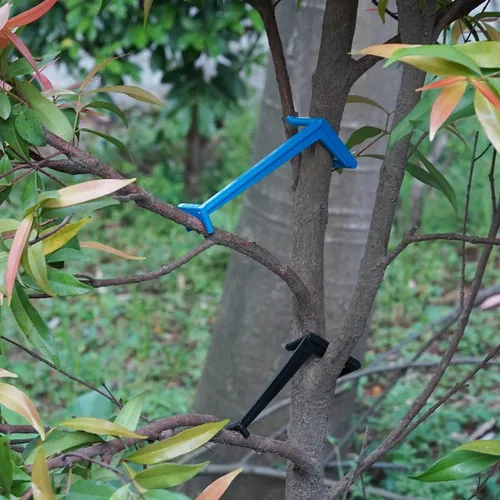 Esparcidores de ramas para árboles frutales Esparcidor de ramas de manzano para apoyar nuevas ramas, plástico negro, 15 piezas y azul 15 piezas