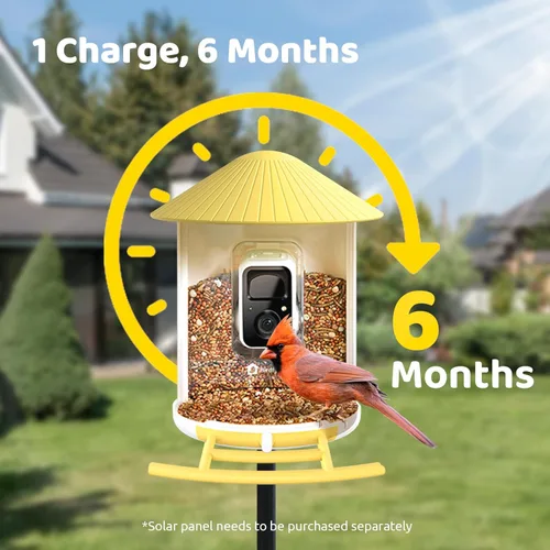 Miniatura 7 de NETVUE by Birdfy - Comedero inteligente para pájaros con cámara, cámara de observación de aves, video de captura automática y detección