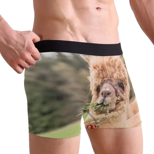 Miniatura 2 de ZZKKO Skull Llama - Calzoncillos tipo bóxer para hombre, transpirables, elásticos, con bolsa, tallas S-XXL