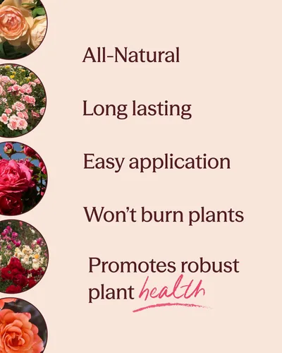 Miniatura 3 de Heirloom Roses Founder's Fertilizante para peces, alimento vegetal para plantas, fertilizante líquido orgánico de emulsión, fertilizantes de jardín