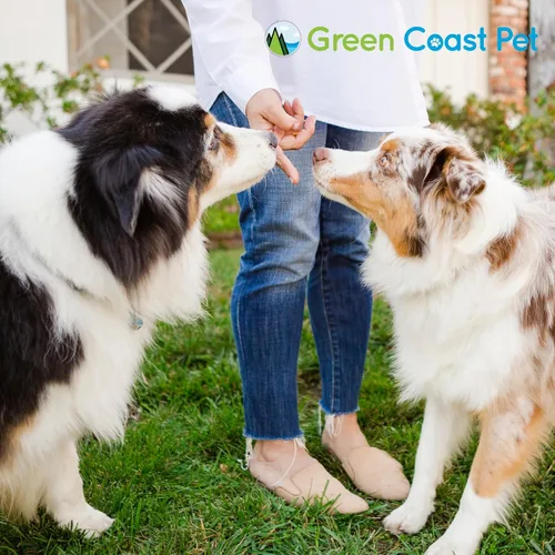 Miniatura 8 de Mantequilla de maní natural segura para perros, golosinas 100% saludables para perros, sin azúcar, sin xilitol, apoyo digestivo, mantequilla de maní