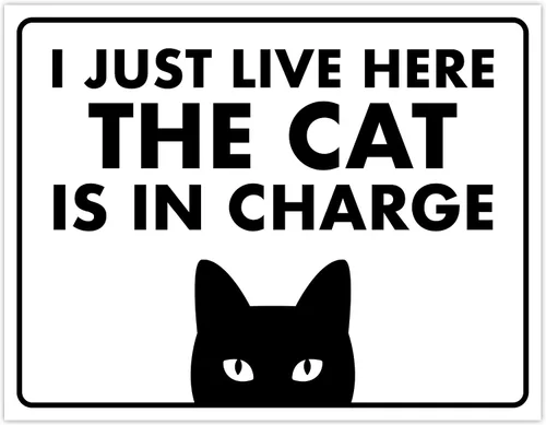 Miniatura 32 de Señal de Gato de 24 Horas de Vigilancia Felina de Premises Under 24 Hour - Cartel de gato divertido, metal, 8 x 12 pulgadas, letreros de gato