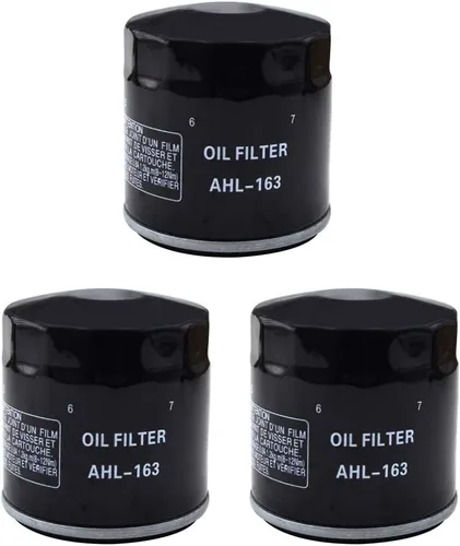 Miniatura 7 de AHL 163 - Filtro de aceite para BMW R850C Euro 850 2000 2001