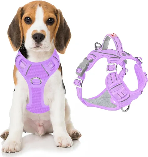 Miniatura 56 de BARKBAY Arnés para perro sin tirones con bolsillo para etiqueta de identificación, resistente, reflectante, fácil control para perros grandes