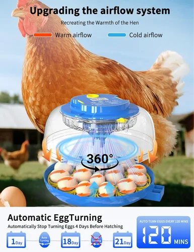 Miniatura 5 de Incubadora panorámica de huevos de 18 huevos de 360° con giro automático de huevos y control de humedad, perfecta para incubar pollos, patos