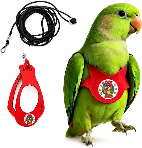 Miniatura 29 de Juego de arnés ajustable y correa para pájaros pequeños, apto para periquitos, conures, cacatúas, mejillas verdes, loros cuáqueros (verde, XS) 6350-6