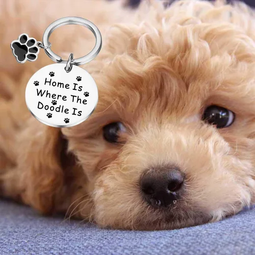 Miniatura 6 de PLITI Golden Caniche Regalos Perro Mamá Regalos Perro Papá Regalos Perro Regalo Perro Amante Regalo Mascota Padres Regalo