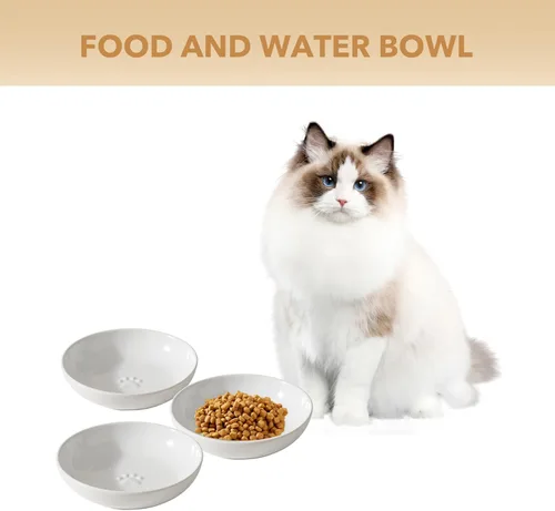 Miniatura 4 de Havniva Platos de cerámica anchos para gatos, juego de 3 cuencos de cerámica para gatos con huella de pata, plato antideslizante para alimentación
