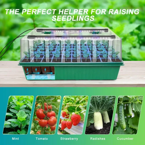 Miniatura 7 de GOOINMILL Bandeja Iniciadora de Semillas con Autoriego con Luz de Crecimiento Temporizada, Bandeja Iniciadora de Plantas de 80 Celdas Kit Iniciador