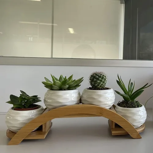 Miniatura 6 de E-liu Juego de macetas y soporte para suculentas, maceta de cerámica blanca con drenaje, paquete de 4, bonita decoración de interiores de oficina
