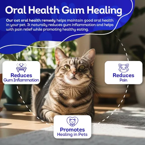 Miniatura 4 de HA4E - Salud oral para gatos - Alivia la inflamación, alivia el dolor y combate la enfermedad de las encías - Natural, sin OMG, orgánico, sin gluten