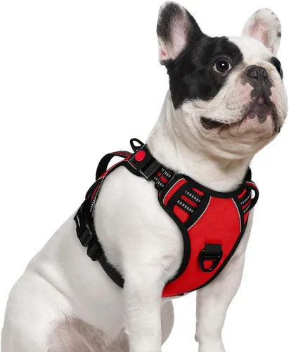 Miniatura 22 de rabbitgoo Arnés para perro de tamaño pequeño, arnés para mascotas sin tirones con mango acolchado suave, chaleco reflectante ajustable con 3