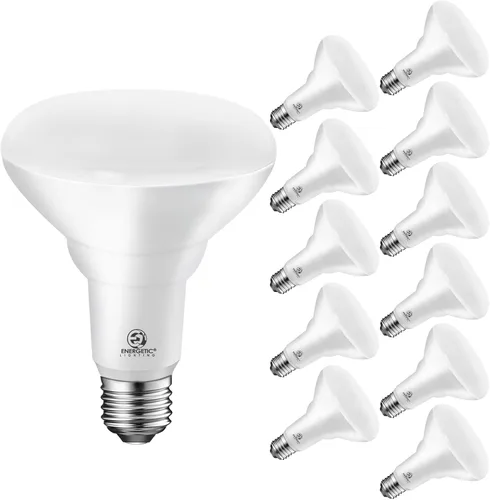 Energetic - Paquete de 12 bombillas LED empotrables BR30 de 75 W, regulable, 900 lúmenes, luz diurna 5000 K, base E26, luz de inundación interior