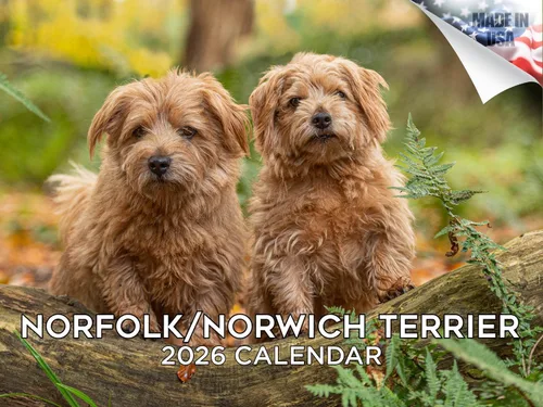 Miniatura 138 de Calendario 2025 2026 de cachorros Cocker Spaniel - Calendario mensual de pared de raza de perro - 12" x 24" abierto - Papel grueso sin sangrado