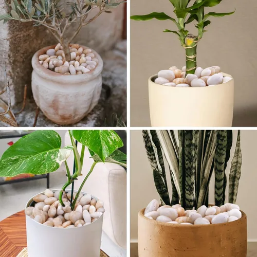 Miniatura 3 de Roca de río blanco crema de 10 libras, guijarros decorativos para plantas, rocas de río para paisajismo al aire libre, piedras pulidas de 0.3 a 0.8