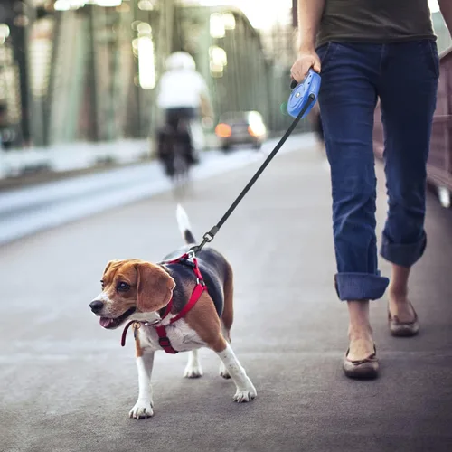 Miniatura 6 de Idepet Correa retráctil resistente para perros pequeños y medianos, cadena de acero antimasticación de 360 grados sin enredos, sistema de bloqueo
