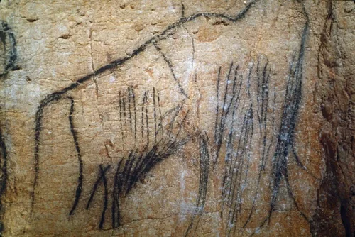 Arte rupestre Mammoth Nmammoth pintado en negro contorno detalle de la friso negro en el Pech Merle Cave Lot Francia C15000 BC Póster impreso por