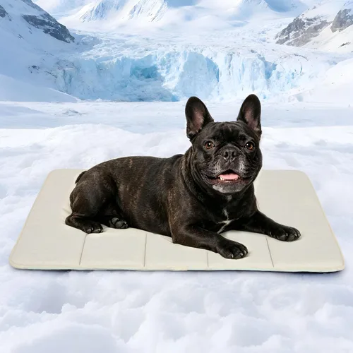 Miniatura 17 de Tapete para jaula para perros de tamaño XL, cama de espuma viscoelástica de 41 x 27 pulgadas, lavable y antideslizante, tapete ultrasuave para Oscuro