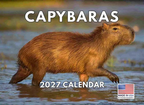 Miniatura 30 de Calendario alpaca 2026, calendario mensual de pared de 12 meses Hecho en Estados Unidos.