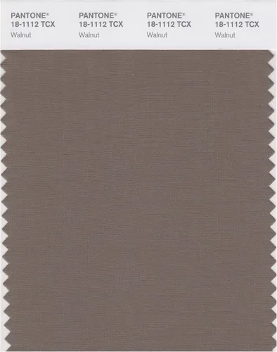 Miniatura 26 de PANTONE Tarjeta de muestra de color inteligente 18-1314X, bellota