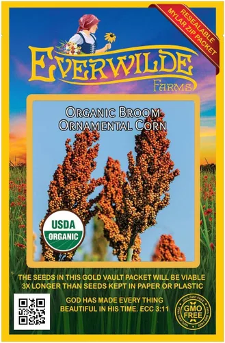Everwilde Farms - 50 semillas de maíz ornamentales de escoba orgánica - Paquete de bóveda dorada