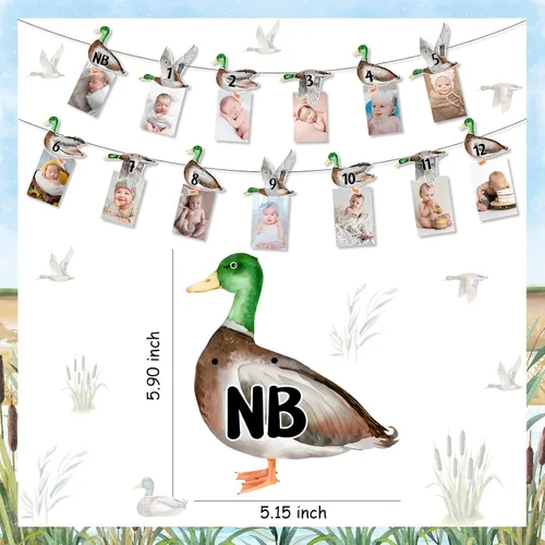 Miniatura 5 de Cartel de fotos de 1er cumpleaños de pato mallardo, cartel con imagen temática de pato de recién nacido a 12 meses, registro de crecimiento