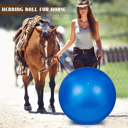 Miniatura 5 de Sotiff 2 pelotas de caballo de 40 pulgadas para jugar, caballo grande, equino, pastoreo, antiestallido, pelota de fútbol gigante para perro, bomba