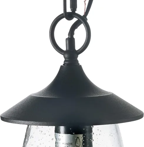 Miniatura 5 de LOG BARN Luces colgantes para exteriores, accesorio de porche en metal negro pintado con globo de vidrio transparente burbujeado, lámpara colgante