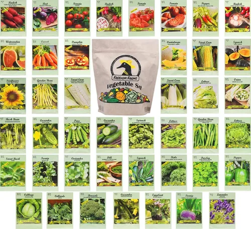 Miniatura 8 de Juego de 43 paquetes surtidos de semillas de verduras y hierbas, más de 10,000 semillas, incluye bolsa de almacenamiento de mylar, semillas