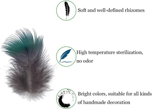 Miniatura 4 de 100 plumas de pavo real azul de 1.5 a 3 pulgadas pequeñas plumas naturales para atrapasueños artesanales