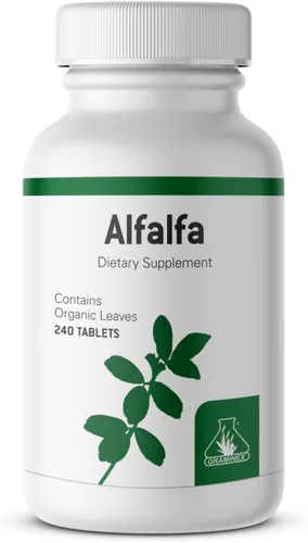 Graminex Tabletas de alfalfa - Suplemento superalimento verde sin OMG con vitaminas, minerales, aminoácidos - 240 tabletas