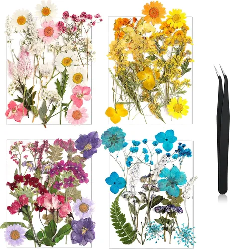 Miniatura 11 de Nuanchu Flores secas prensadas negras para manualidades, flores secas góticas, flores silvestres prensadas naturales a granel con pinzas para molde