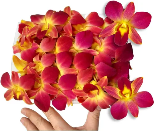 Miniatura 12 de Miami Fresh Orchid Flower OrchidClub USA Sunne Tropical Loose Bloom DIY Lei Food Drink Decoración (50 morado)