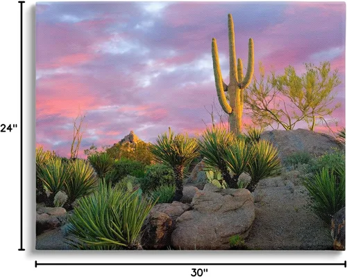 Miniatura 8 de Stupell Industries Lienzo decorativo para pared, diseño de plantas de cactus áridos con salida del sol rosa, diseño de Dennis Frates