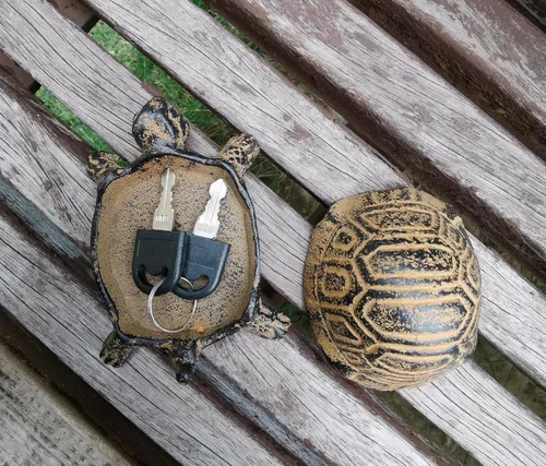 Miniatura 3 de Ocultar una llave fuera - Ocultador de llaves de repuesto - Ocultador de llaves para exteriores, caja de llaves de estatuas de tortuga de jardín