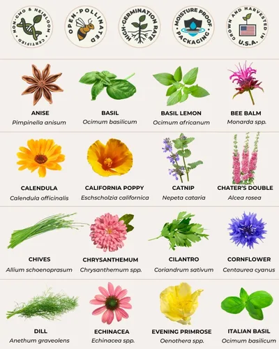 Miniatura 5 de Tactiko - Juego de 35 semillas comestibles de flores y hierbas, semillas cultivadas en Estados Unidos, semillas de polinización abierta sin OMG