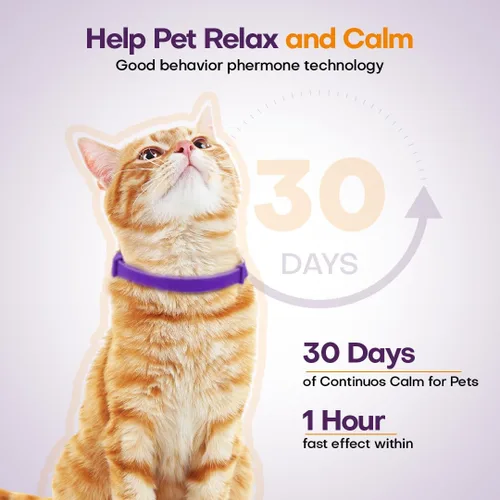 Miniatura 5 de Collar calmante para gatos con feromona, paquete de 4 collares calmantes para gatos para reducir la ansiedad y los arañazos, 30 días de larga
