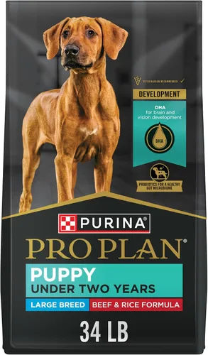 Miniatura 15 de Purina Pro Plan Alimento seco para cachorros de raza grande, fórmula de pollo y arroz, bolsa de 18 libras