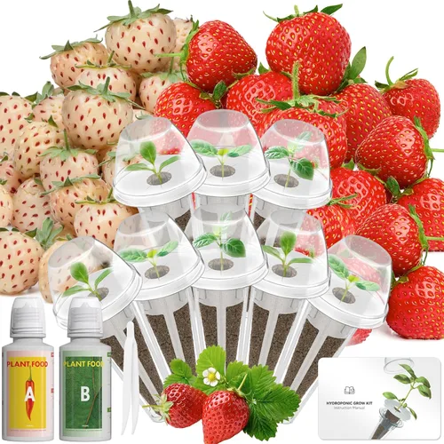 Miniatura 13 de Lyko Heirloom - Kit de vainas de semillas para ensalada AeroGarden, iDoo, Ahopegarden, GARDENCUBE, 7 cápsulas con lechuga American Fast/Paris