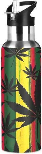 BPA-Free Sports Water Bottle with Straw 20 Oz, Stainless Steel Water Bottle for Gym Outdoor Travel School, Black Leaves Colorful Stripes