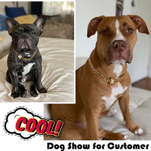 Miniatura 2 de Collar de perro dorado con hebilla de circonita, collar de cadena de eslabones cubanos para perros pequeños a grandes (0.551 in, 10 pulgadas)