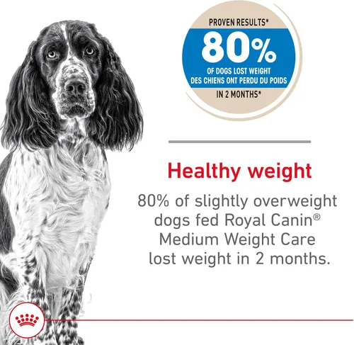 Miniatura 2 de Royal Canin Alimento seco para perros adultos para razas medianas, bolsa de 17 libras