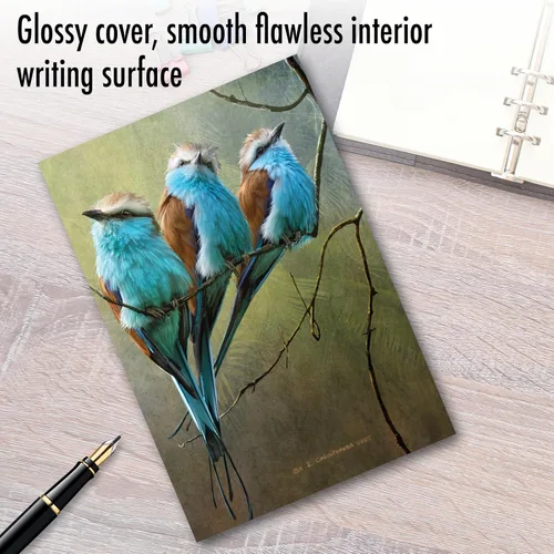 Miniatura 3 de NobleWorks - Tarjeta de felicitación Miss You con sobre de 5 x 7 pulgadas (1 tarjeta) Thinking of You, Just Because Birds and Branches C2822KMYG