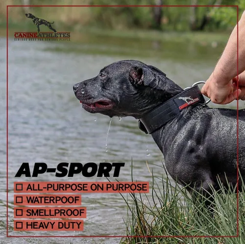 Miniatura 3 de Canine Athletes Collar para perro de trabajo de doble capa impermeable AP-Sport de 2 pulgadas (tamaño pequeño)