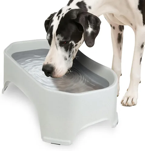 Miniatura 24 de Neater Pet Brands Cuencos para gatos de gran capacidad, cuenco de agua para gatos, reptiles, pollos, aves y animales pequeños, cuenco de comida