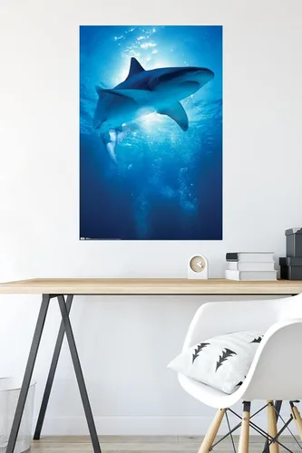 Miniatura 4 de Trends International Póster de pared de tiburón, 14.6 x 22.4 in, versión enmarcada de madera de granero